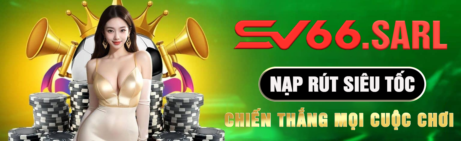 banner sv66